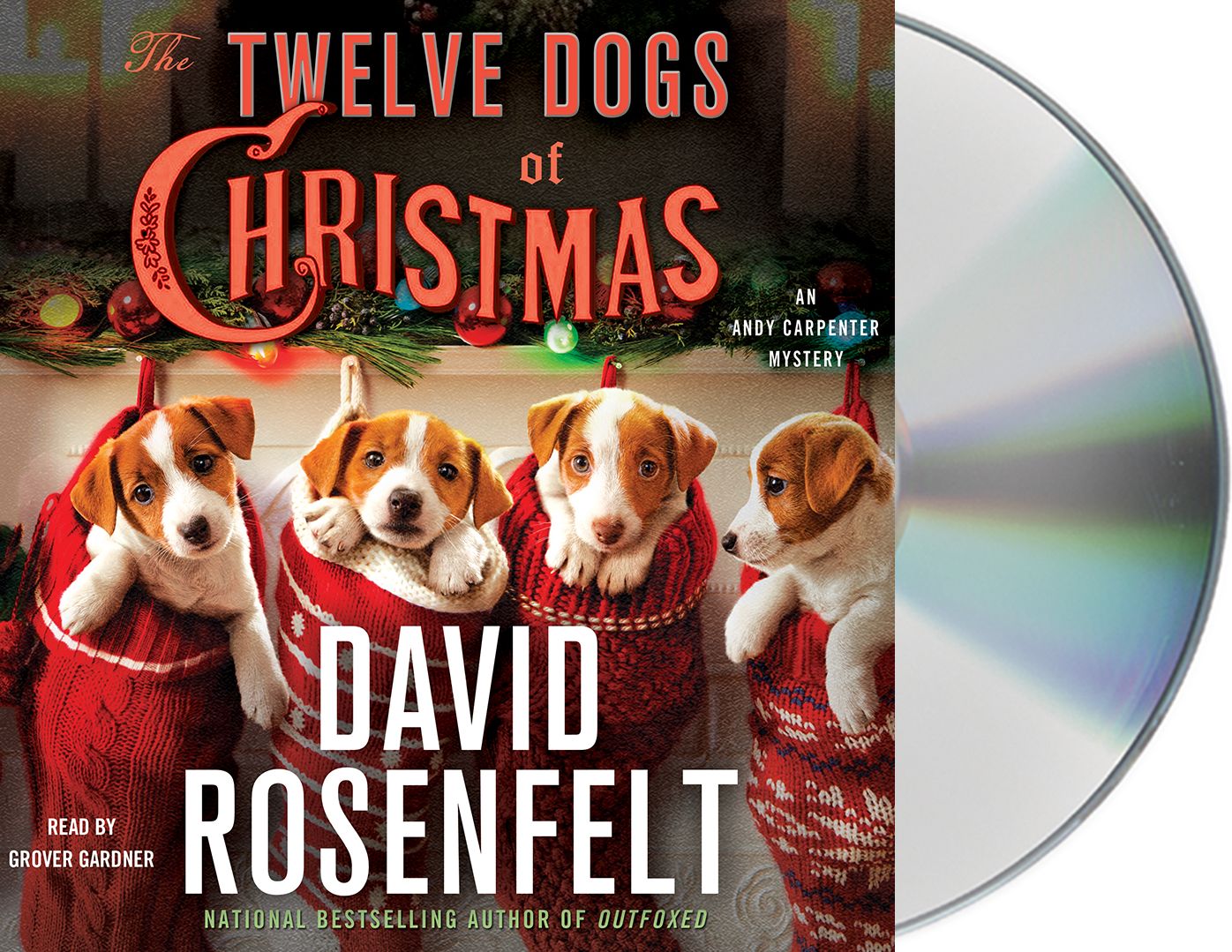 The Twelve Dogs of Christmas (Andy Carpenter Series #15)
