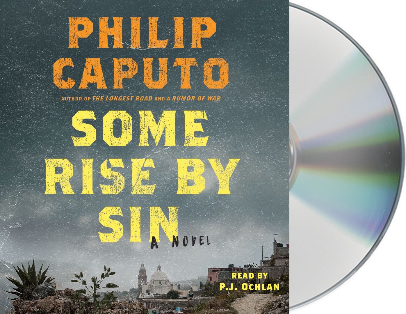 Some Rise by Sin: A Novel