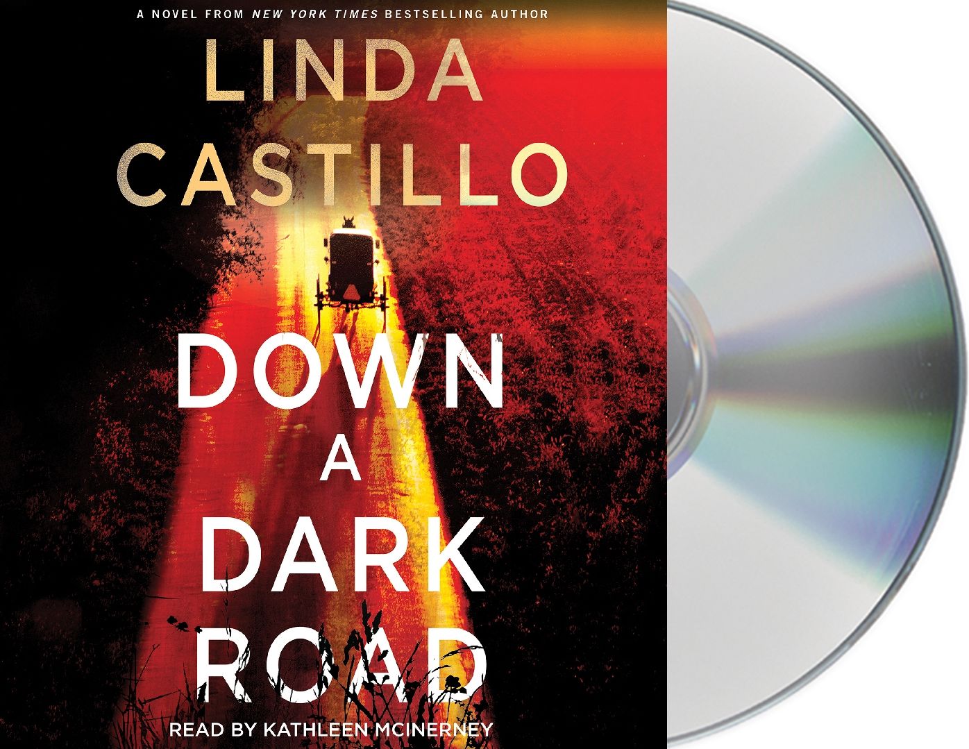 Down a Dark Road (Kate Burkholder Series #9)