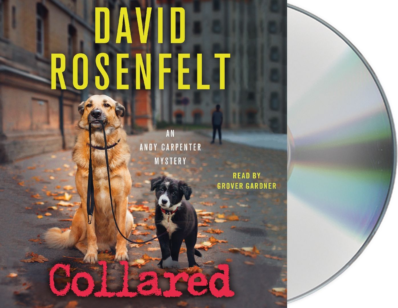 Collared (Andy Carpenter Series #15)