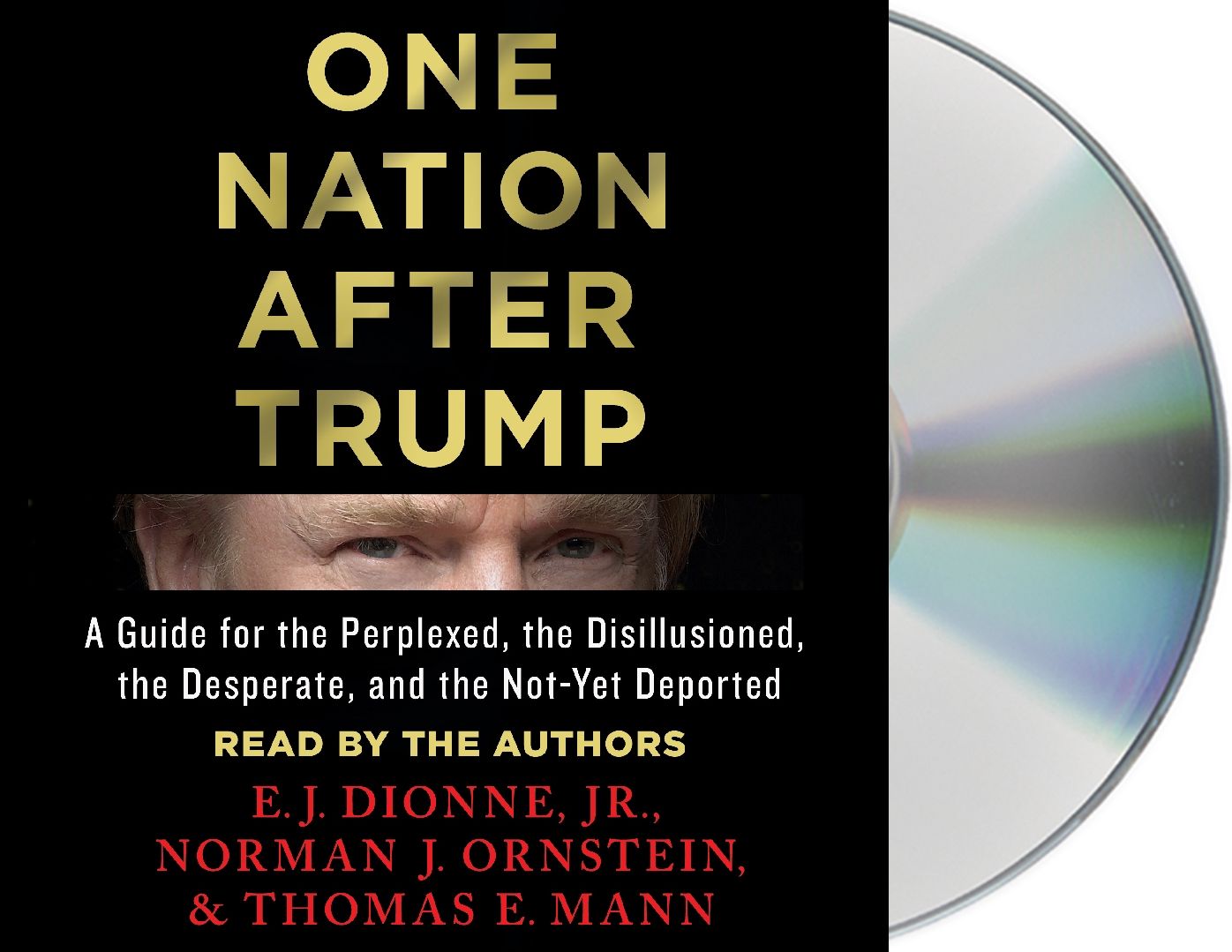One Nation After Trump: A Guide for the Perplexed, the Disillusioned, the Desperate, and the Not-Yet Deported