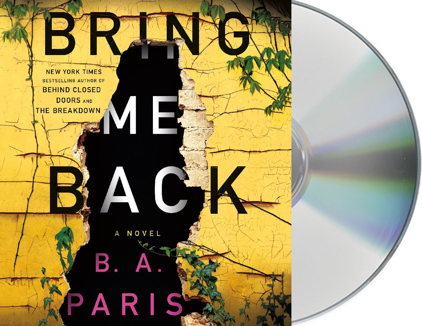 Bring Me Back: A Novel