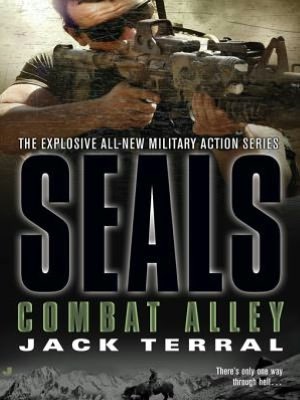 Seals: Combat Alley: