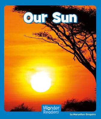 Our Sun