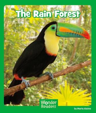The Rain Forest
