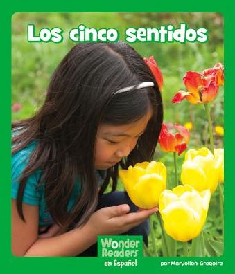 Los cinco sentidos