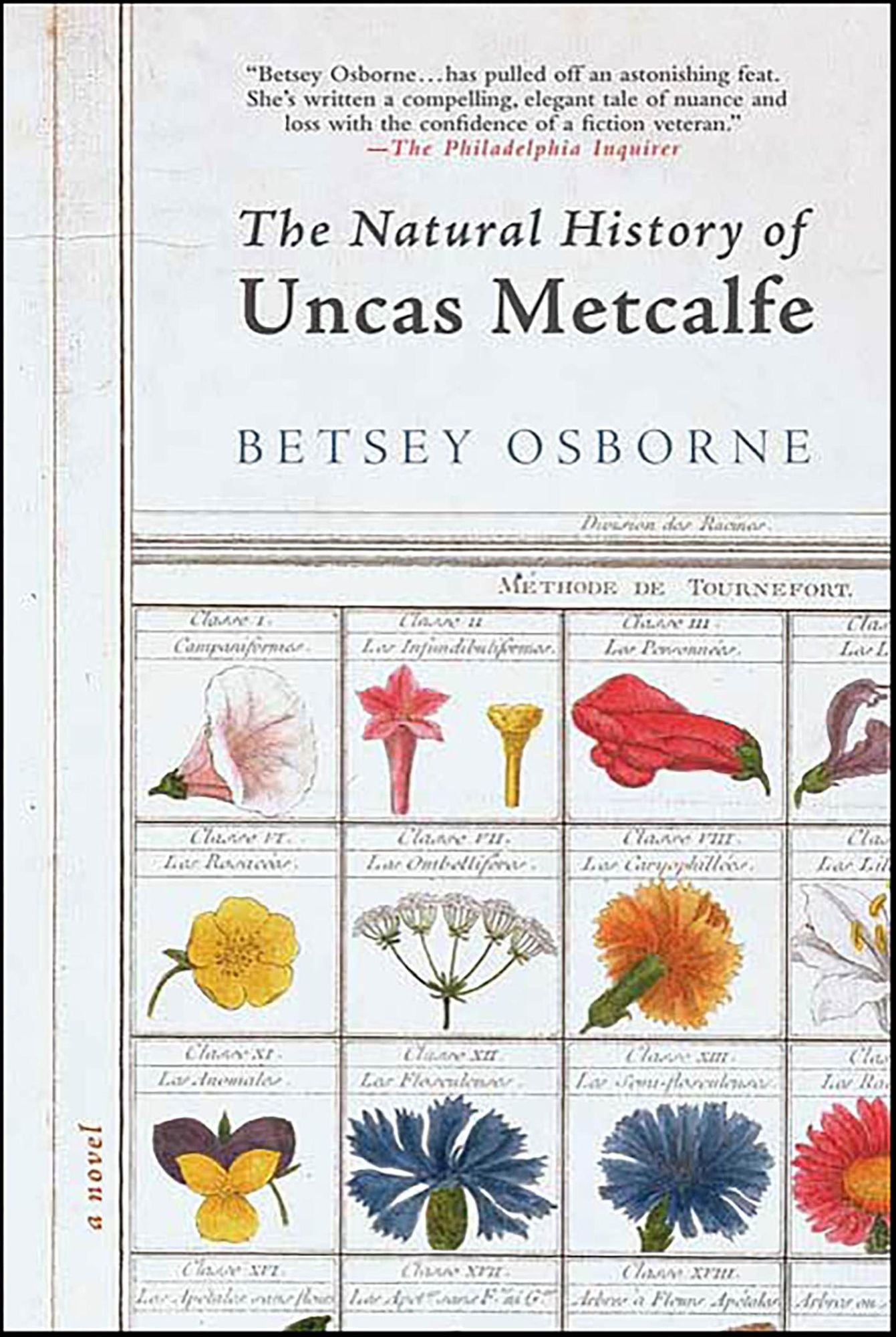 The Natural History of Uncas Metcalfe: A Novel
