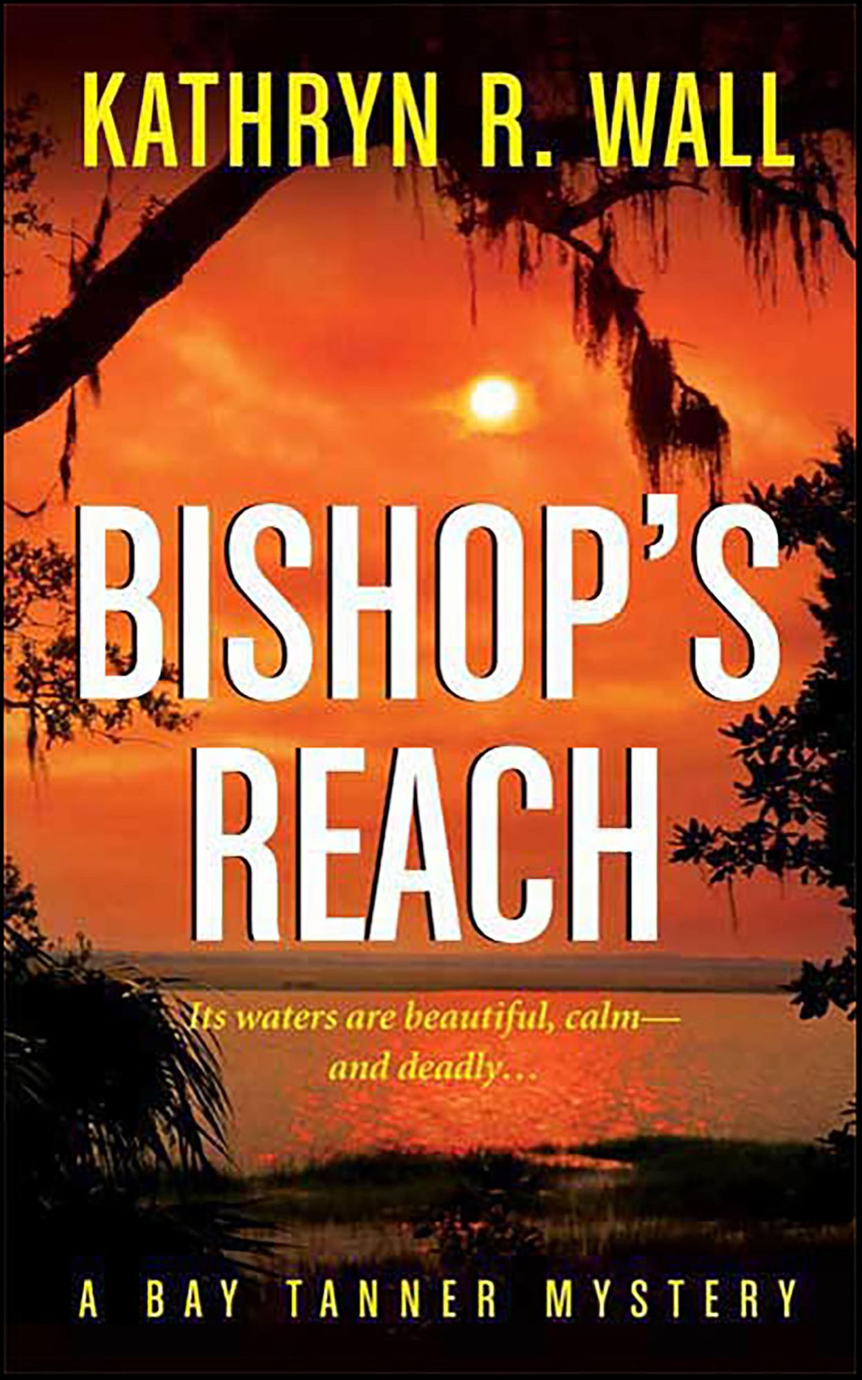 Bishop's Reach: A Bay Tanner Mystery