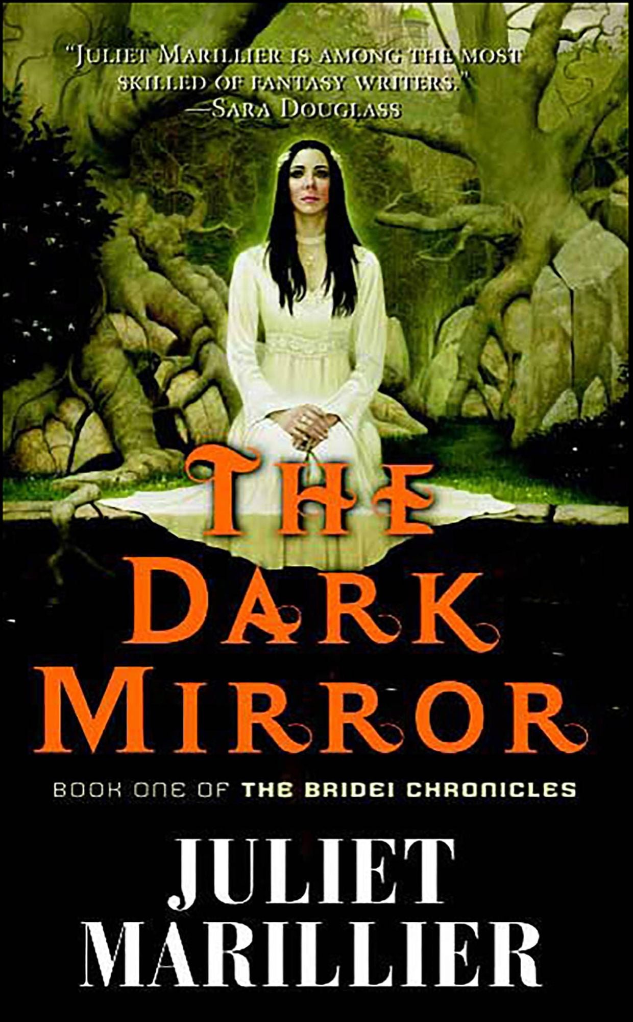 The Dark Mirror: Book One of the Bridei Chronicles
