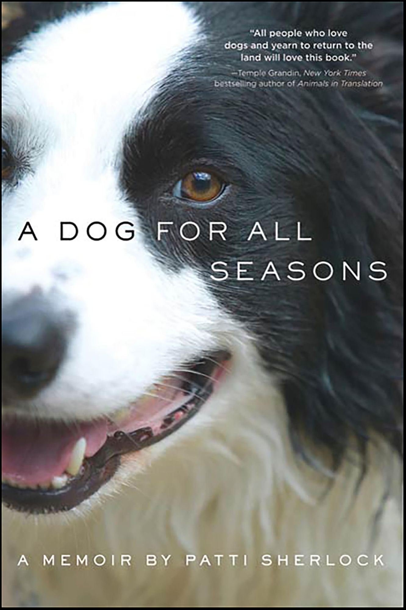A Dog for All Seasons: A Memoir