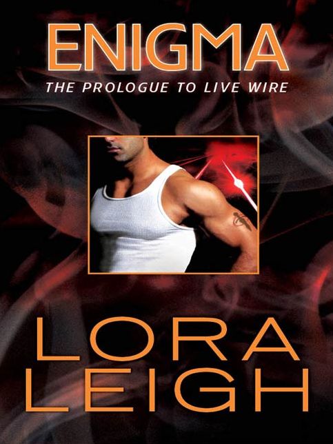 Enigma: The Prologue to Live Wire