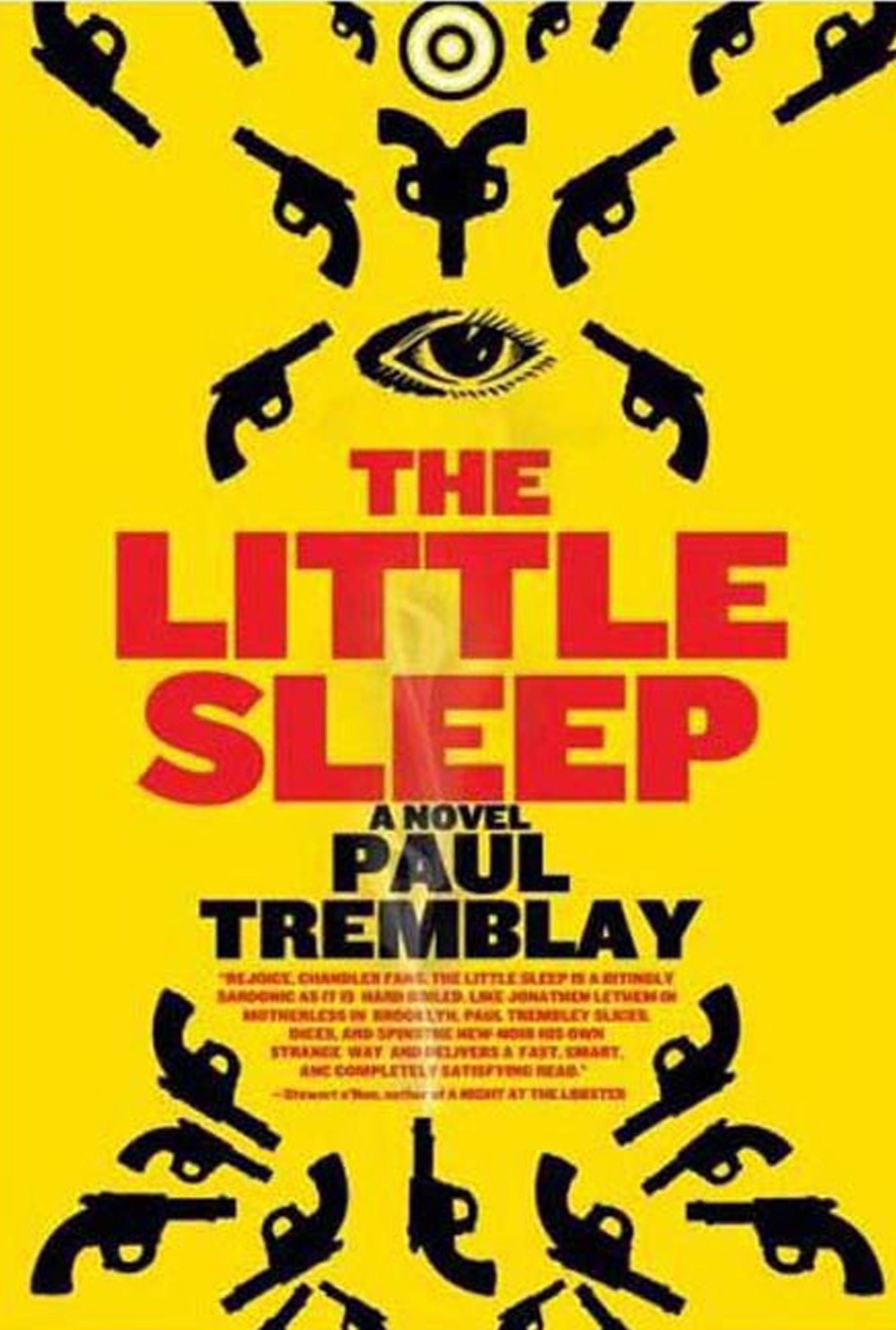 The Little Sleep: A Novel