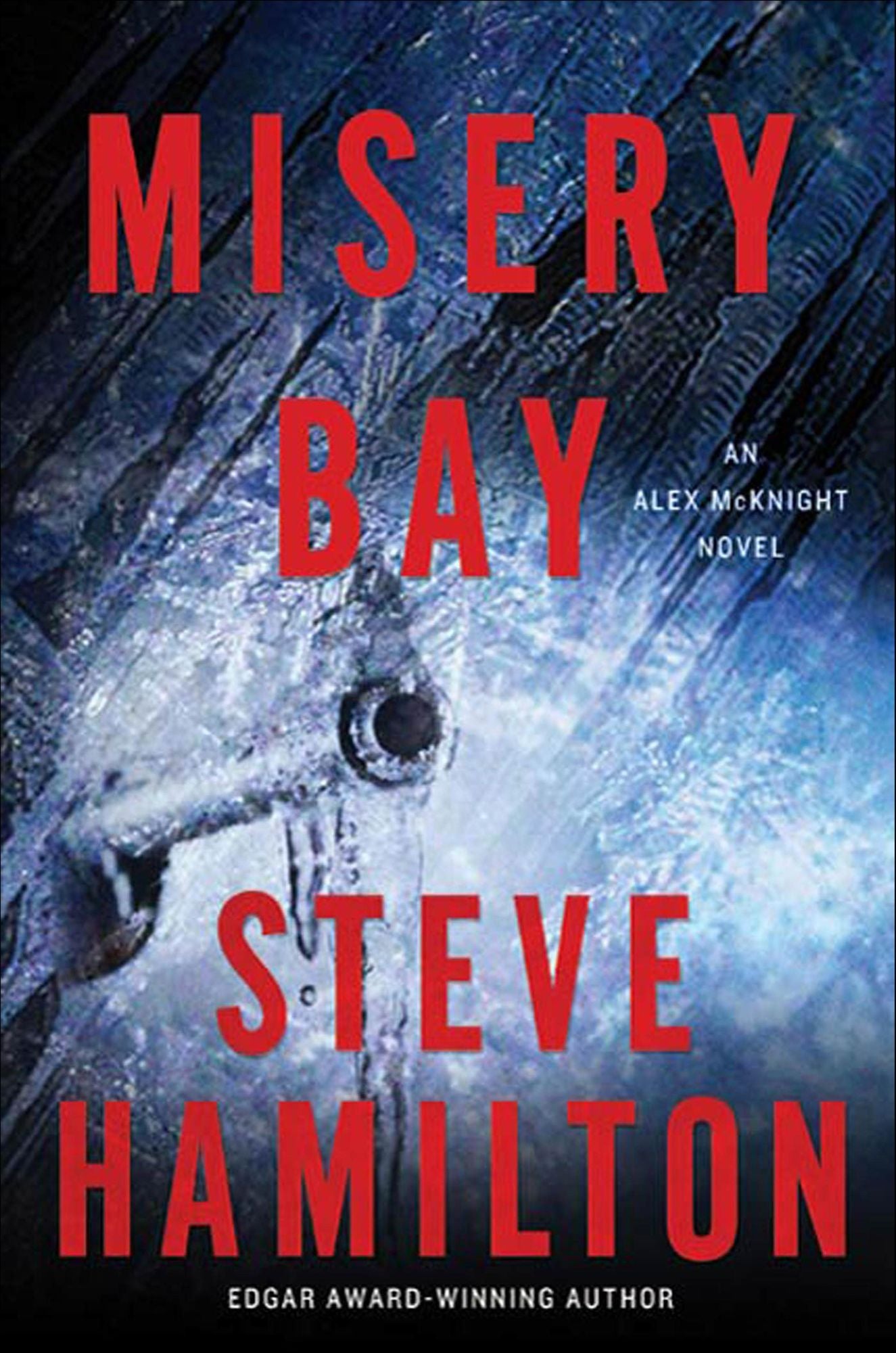 Misery Bay (Alex McKnight Series #8)
