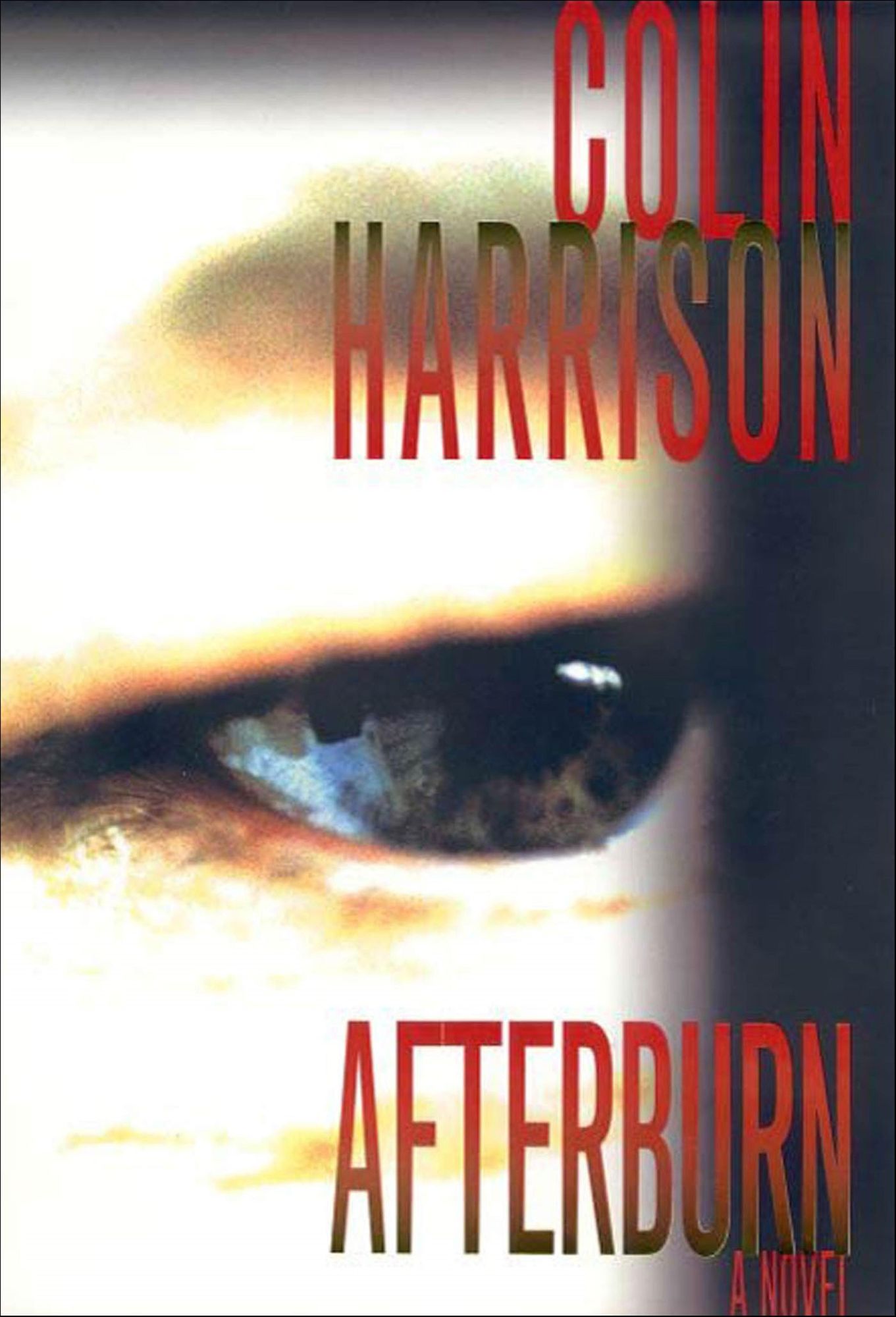 Afterburn: A Novel