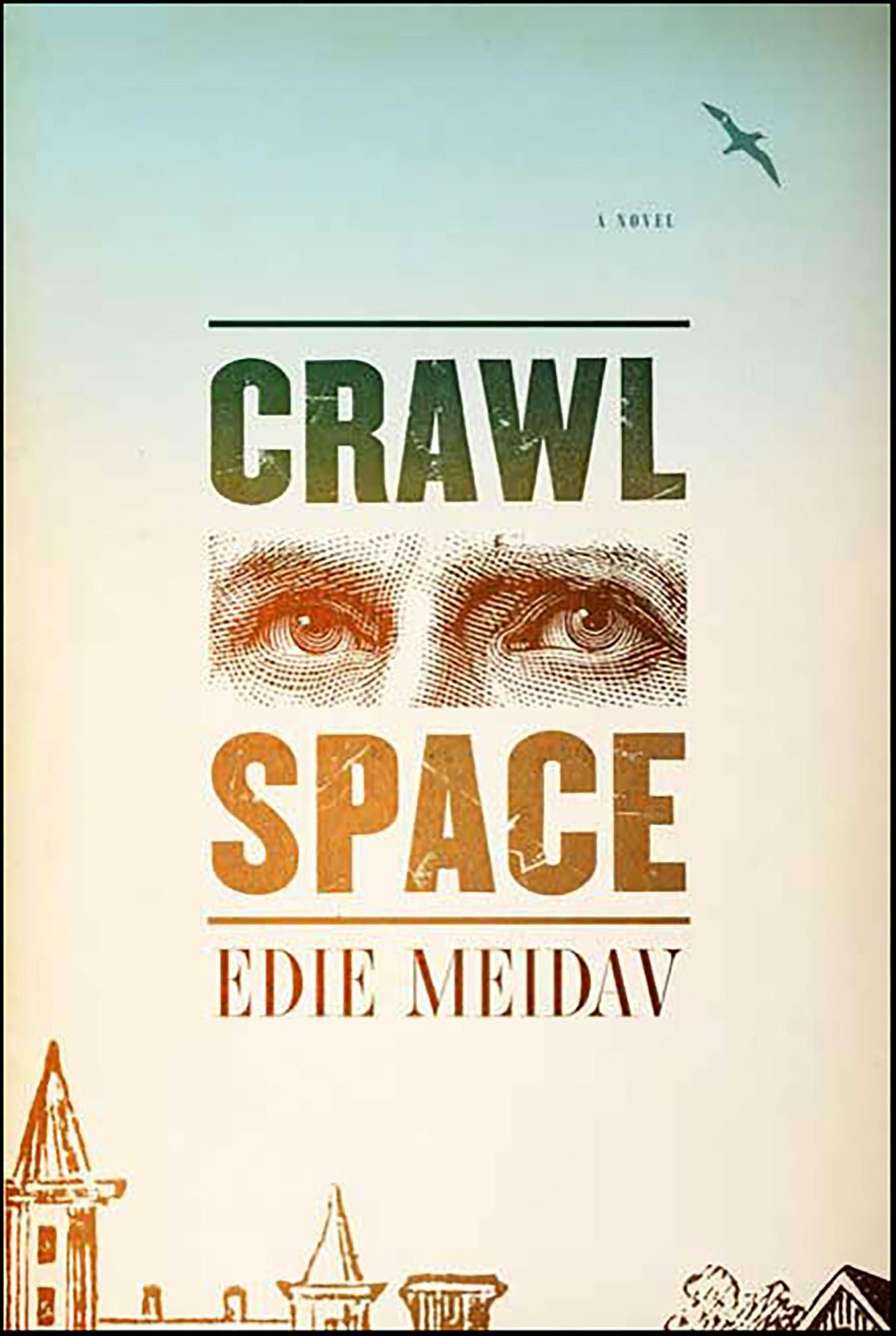 Crawl Space: A Novel