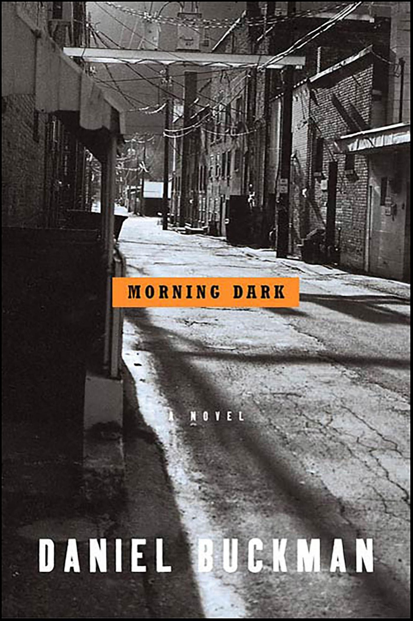 Morning Dark: A Novel