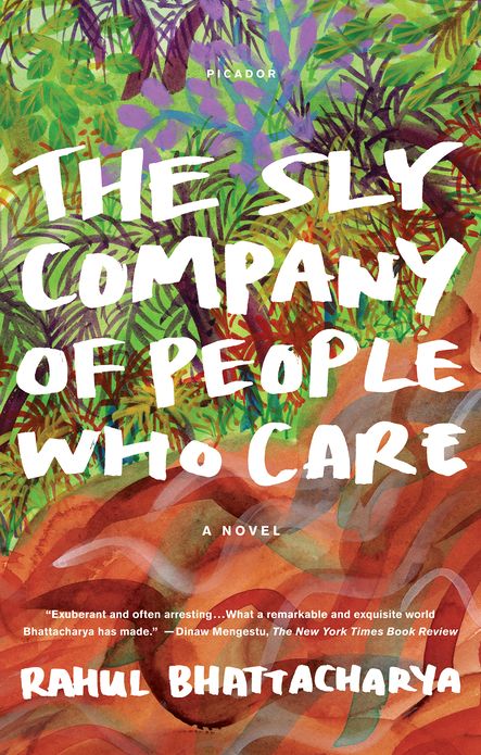 The Sly Company of People Who Care: A Novel