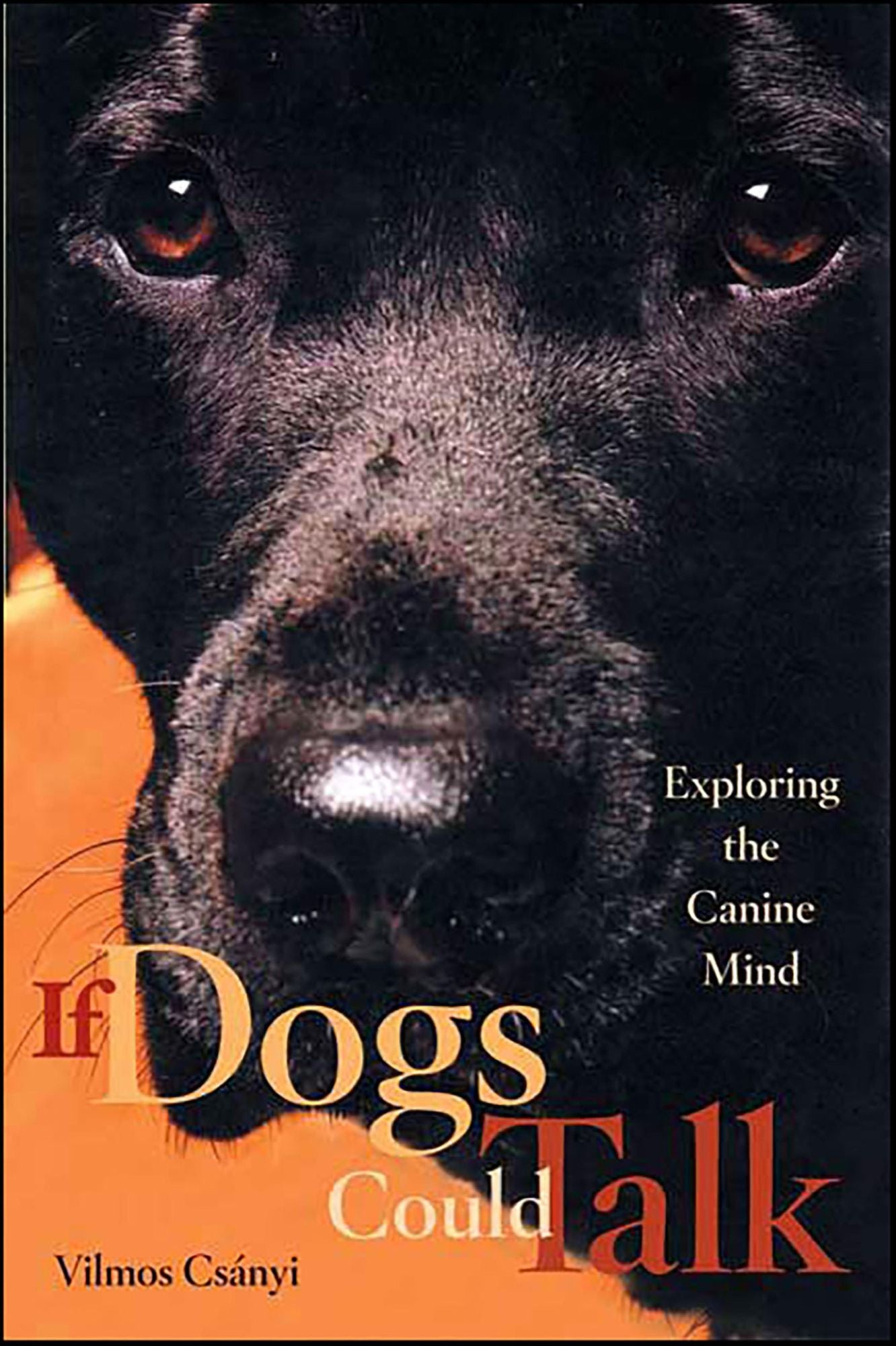 If Dogs Could Talk: Exploring the Canine Mind