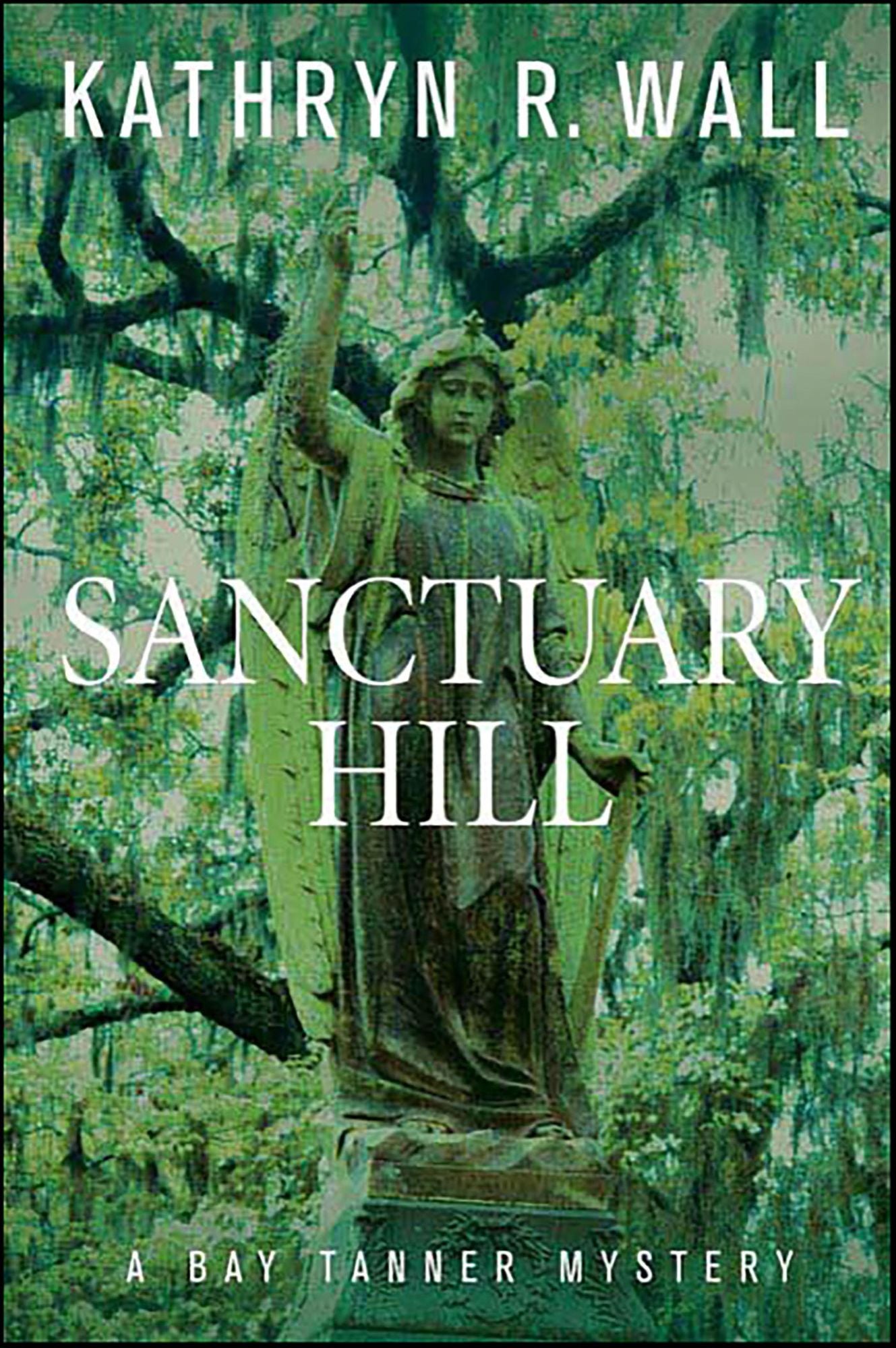 Sanctuary Hill: A Bay Tanner Mystery