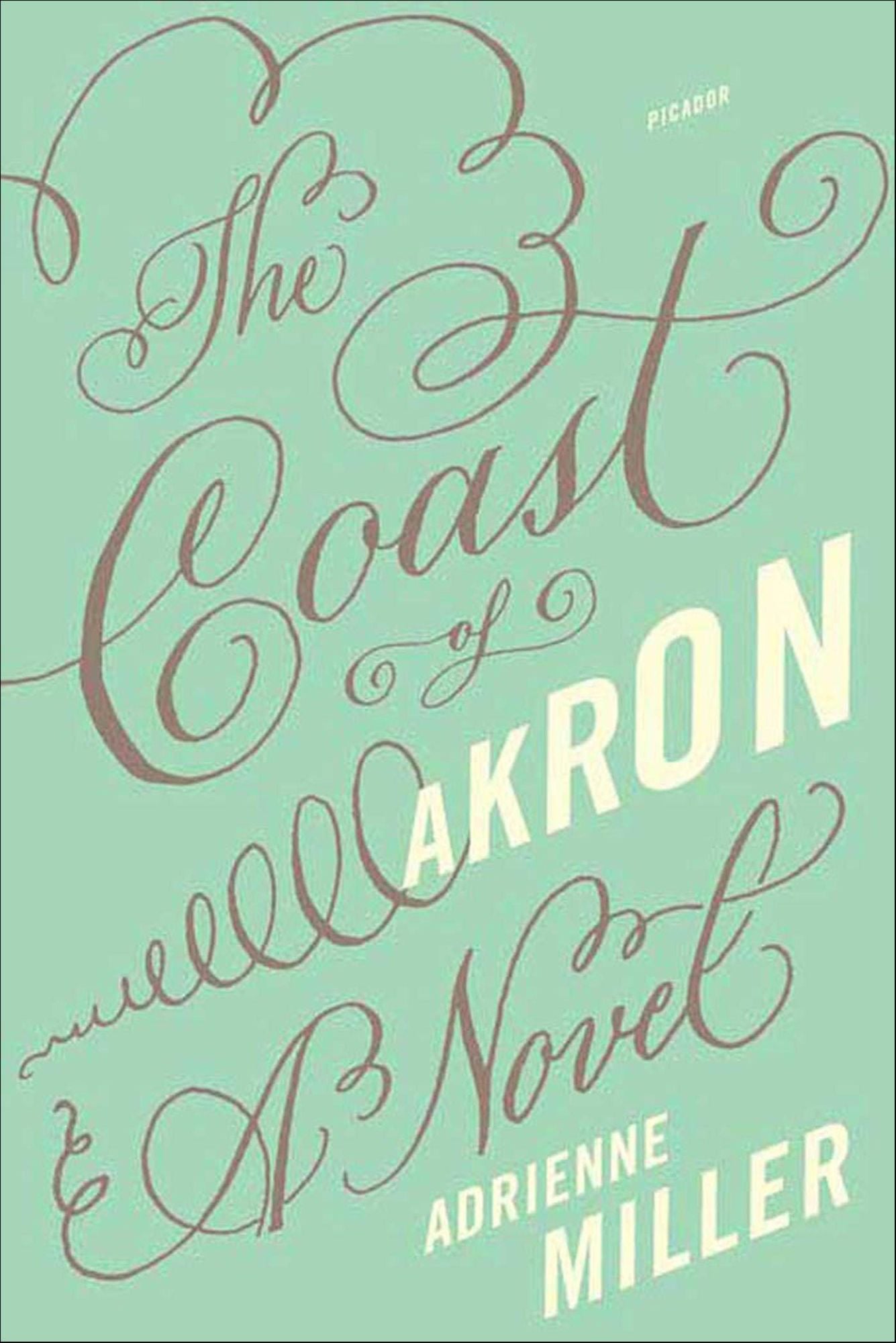 The Coast of Akron: A Novel
