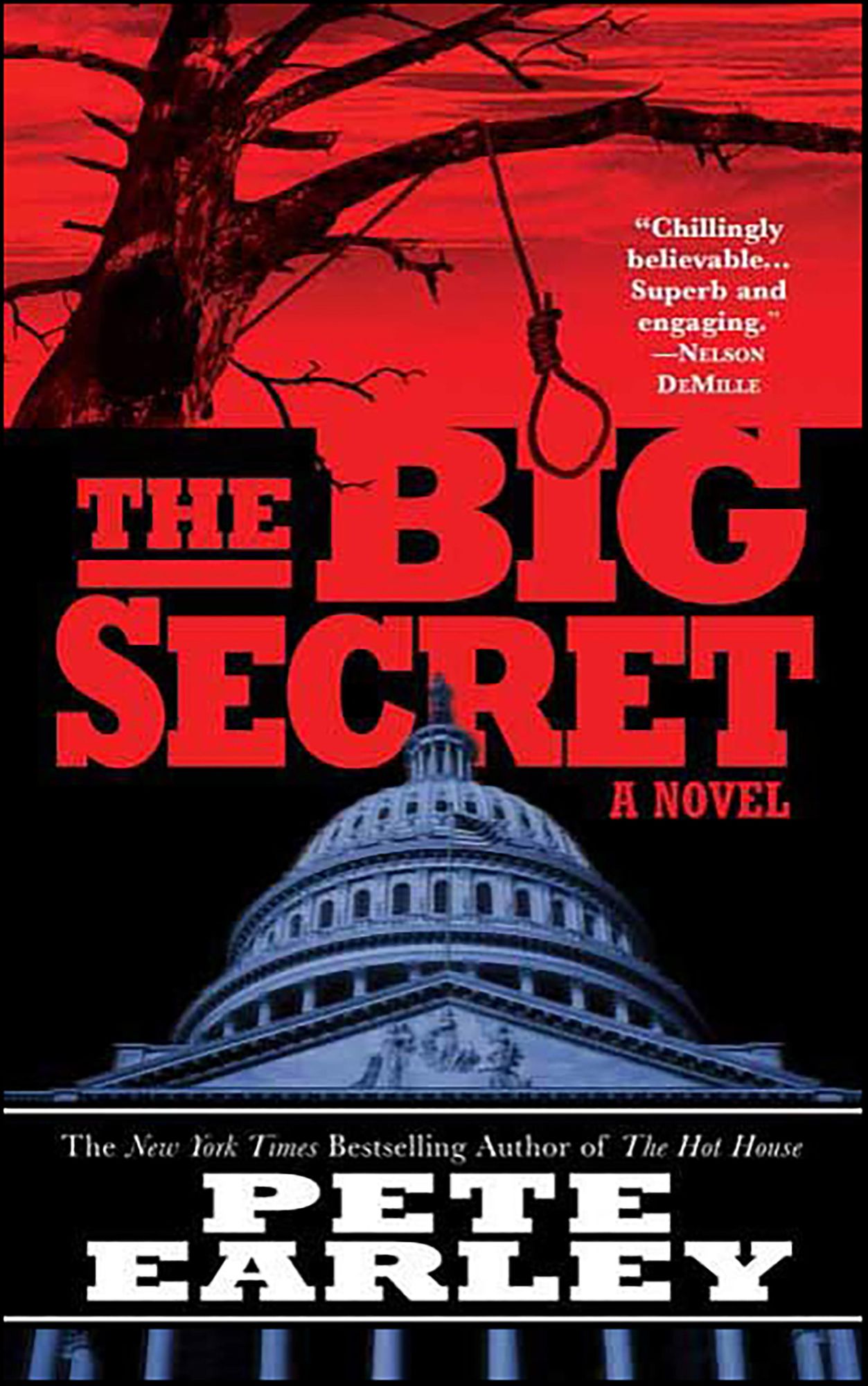The Big Secret: A Novel