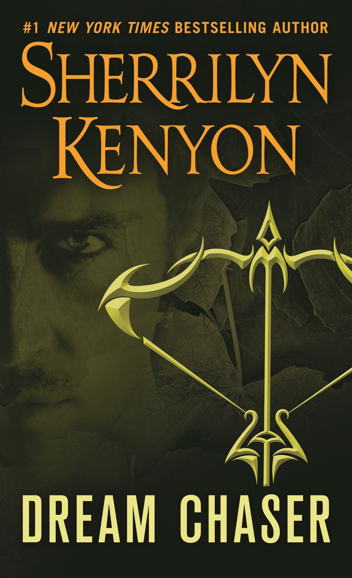 Dream Chaser (Dream-Hunter Series #3)