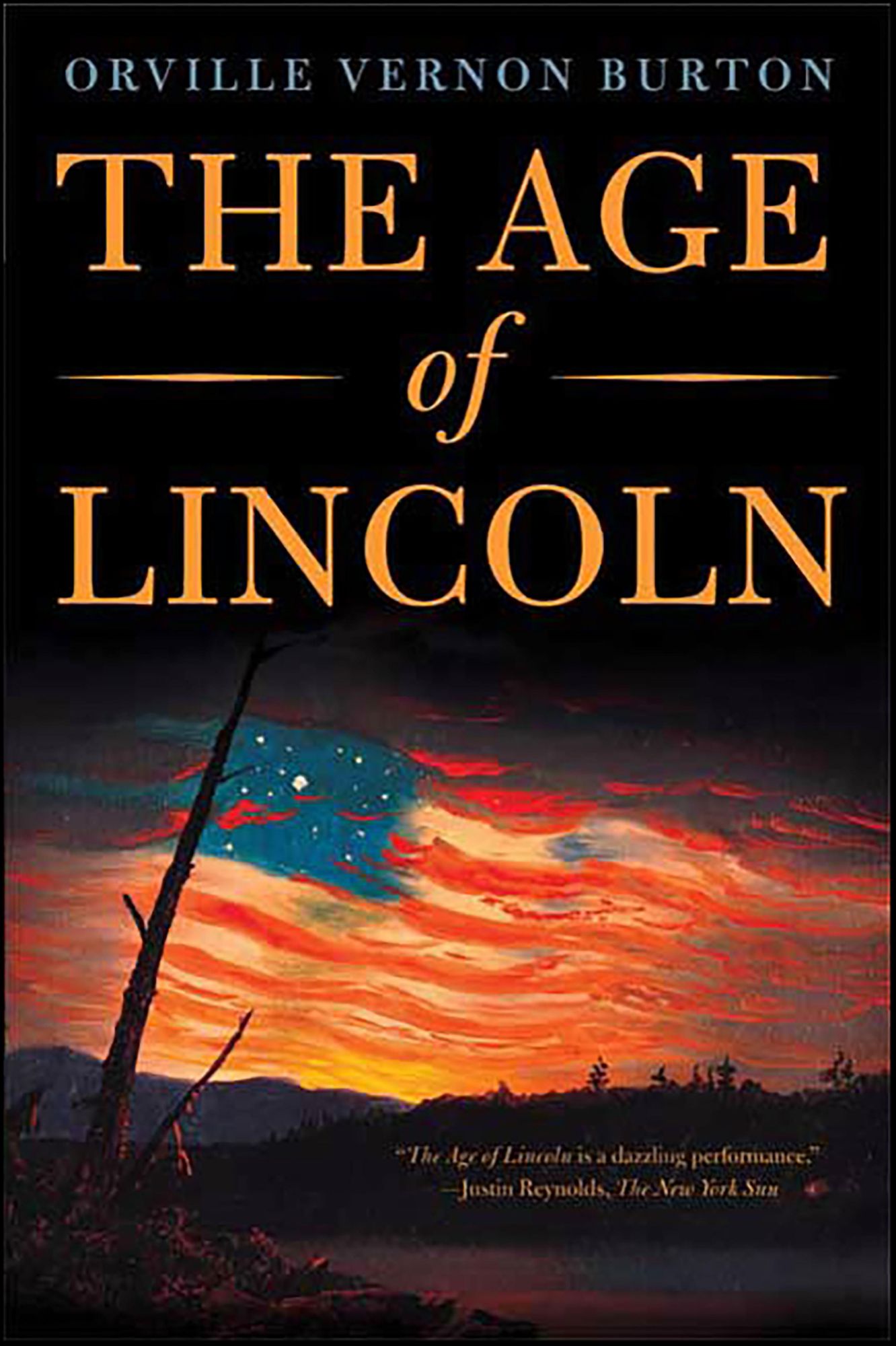 The Age of Lincoln: A History