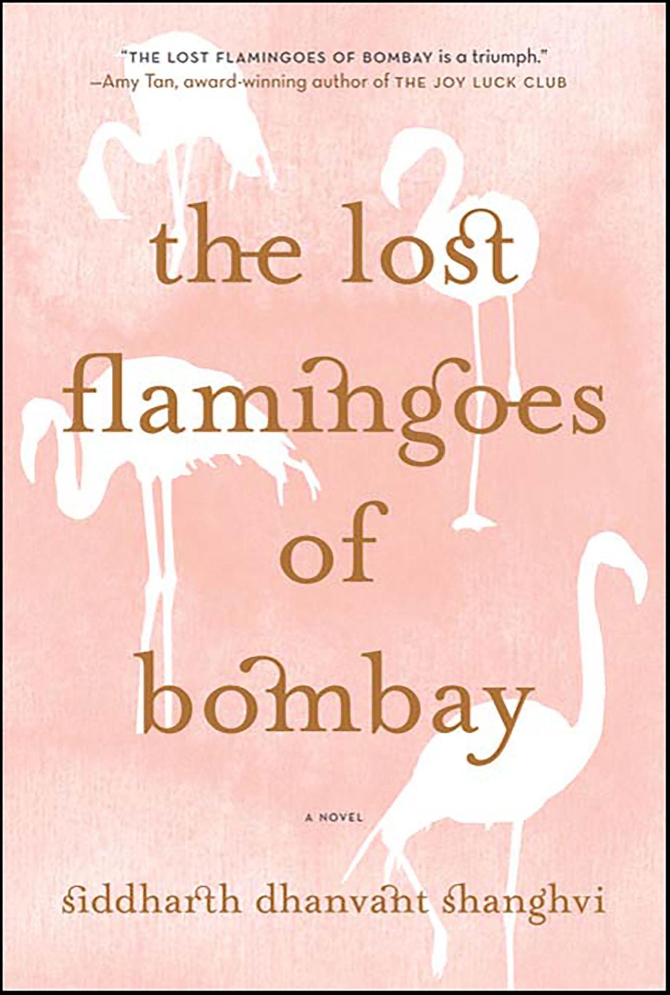 The Lost Flamingoes of Bombay: A Novel