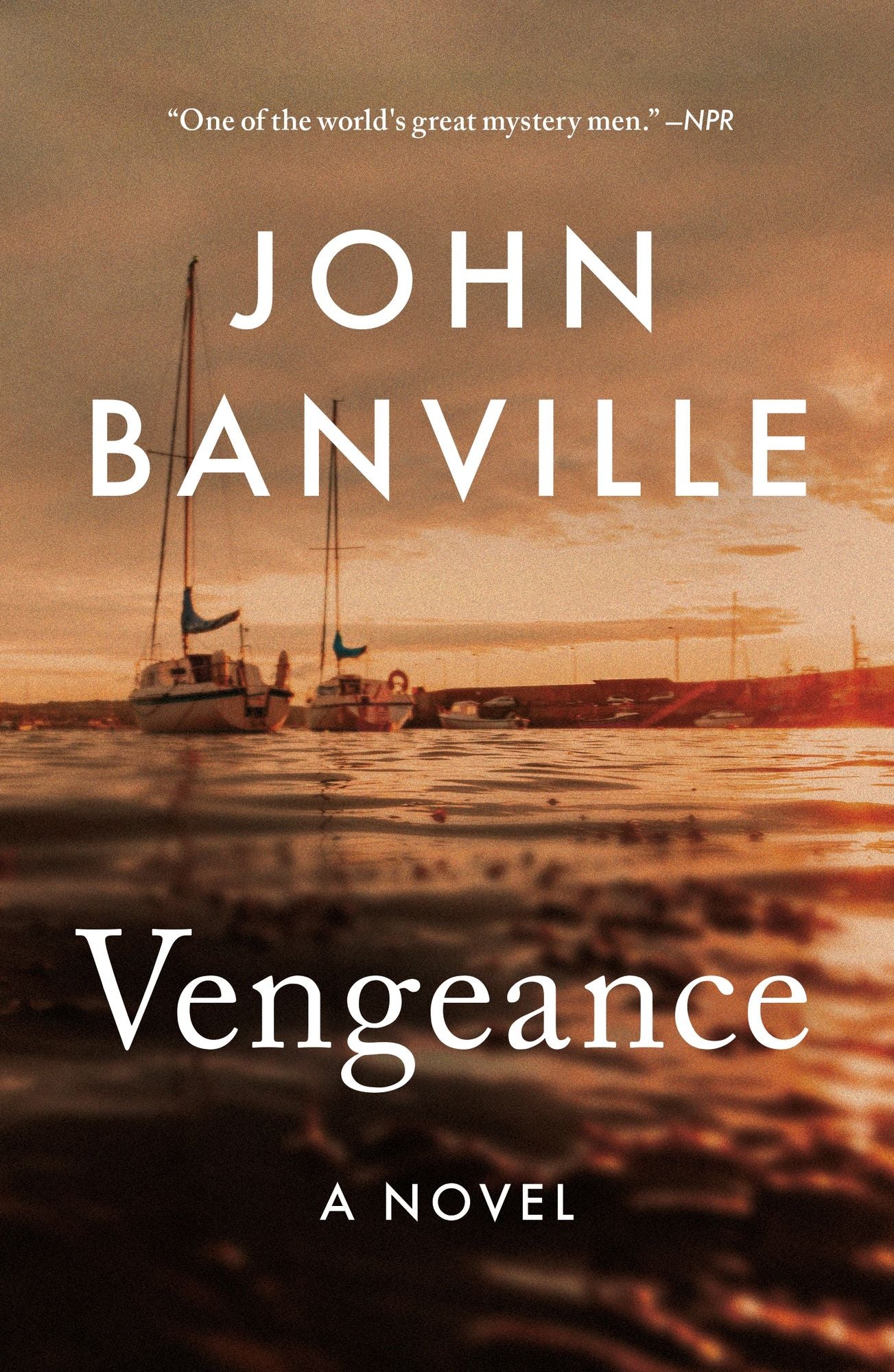 Vengeance: A Novel
