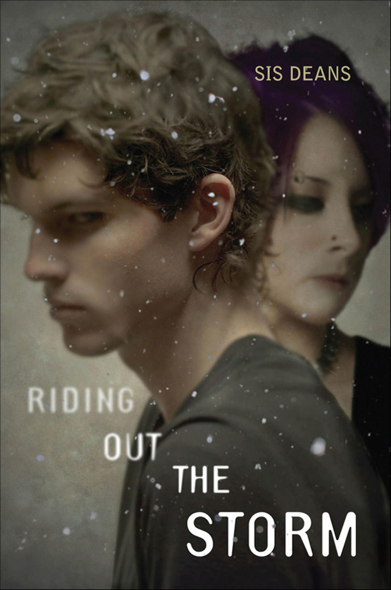 Riding Out the Storm: A Novel