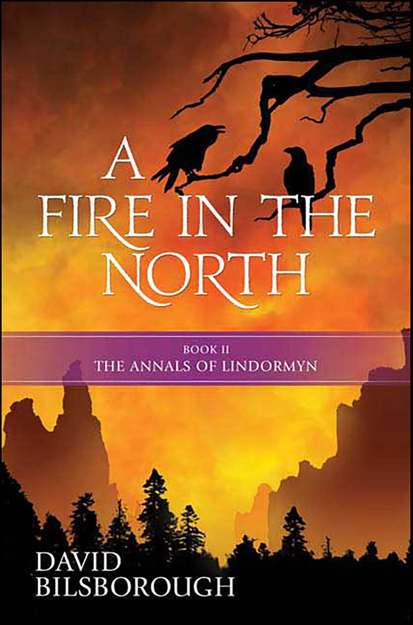 A Fire in the North: Book 2 of the Annals of Lindormyn