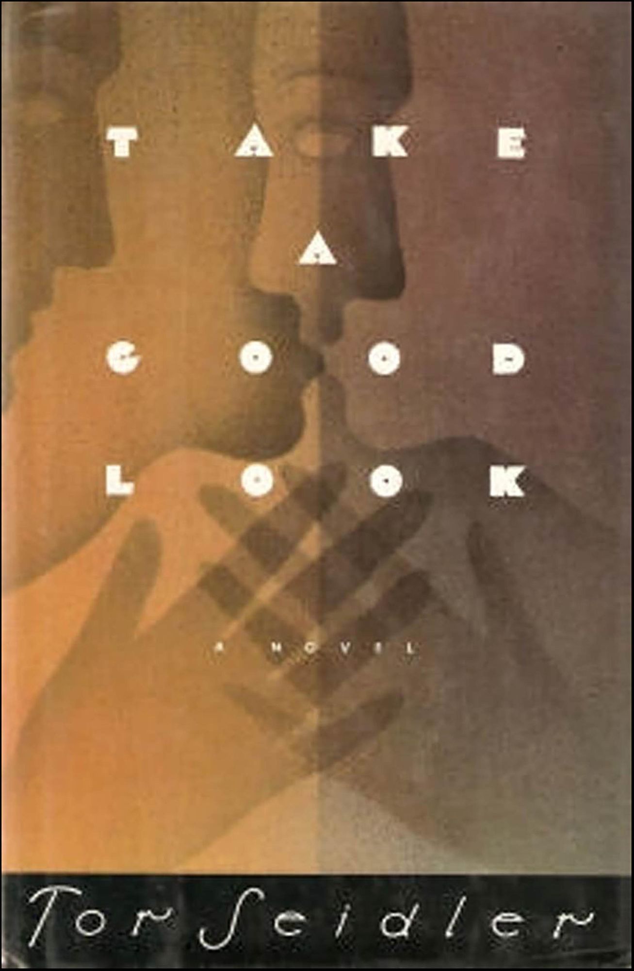 Take a Good Look: A Novel