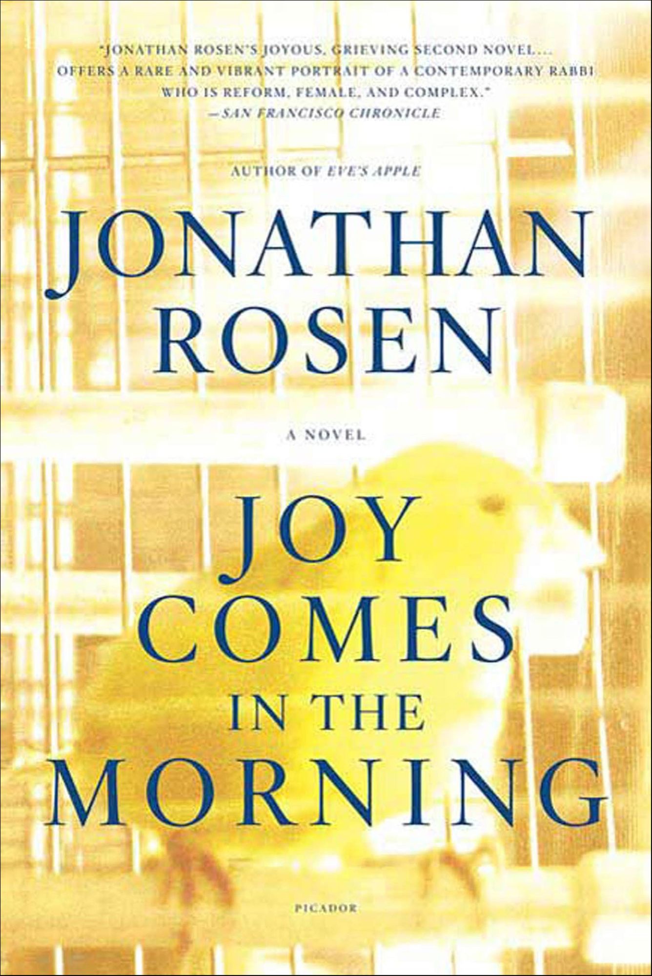 Joy Comes in the Morning: A Novel