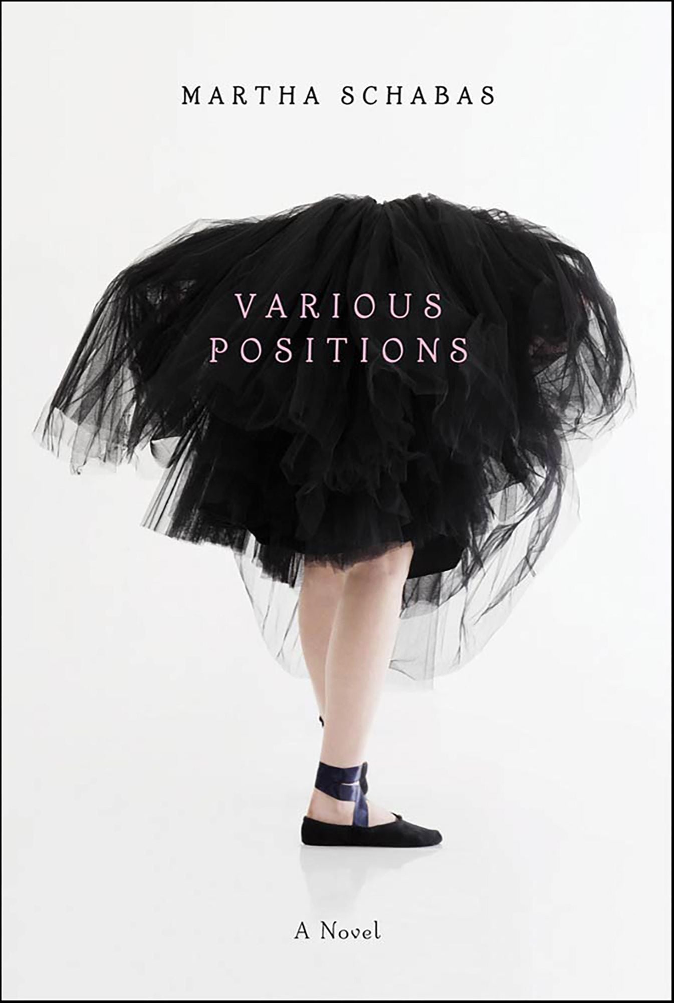 Various Positions: A Novel