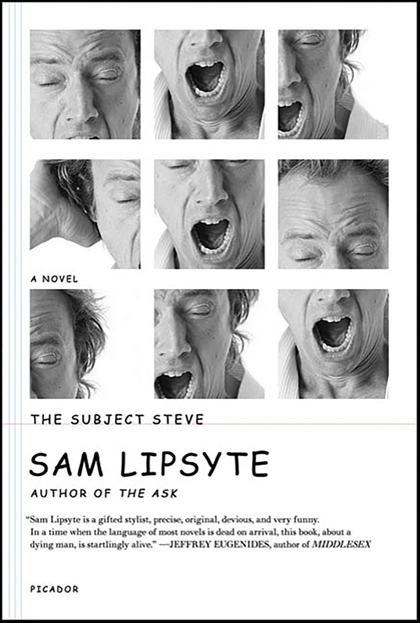 The Subject Steve: A Novel