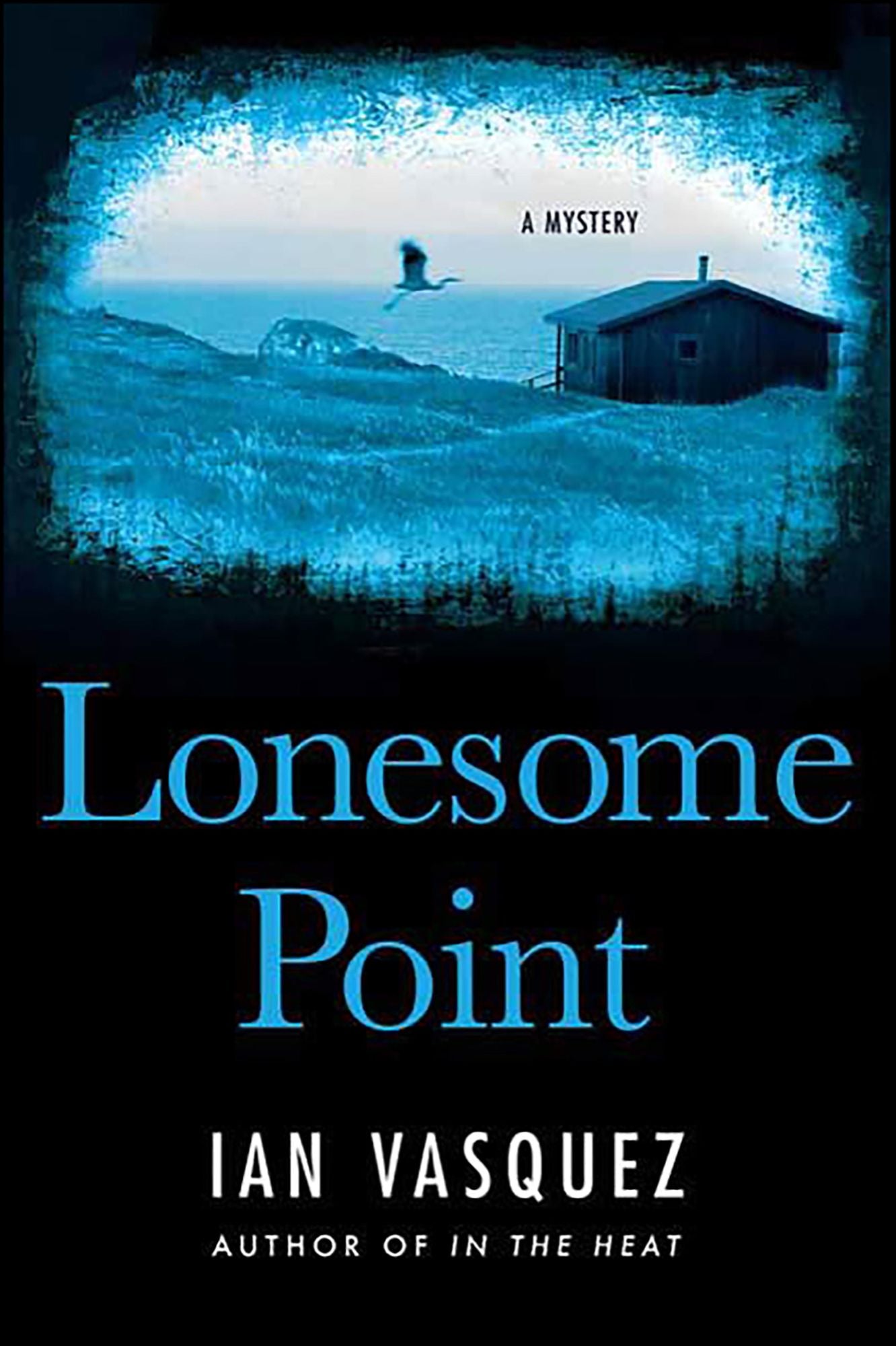 Lonesome Point: A Mystery