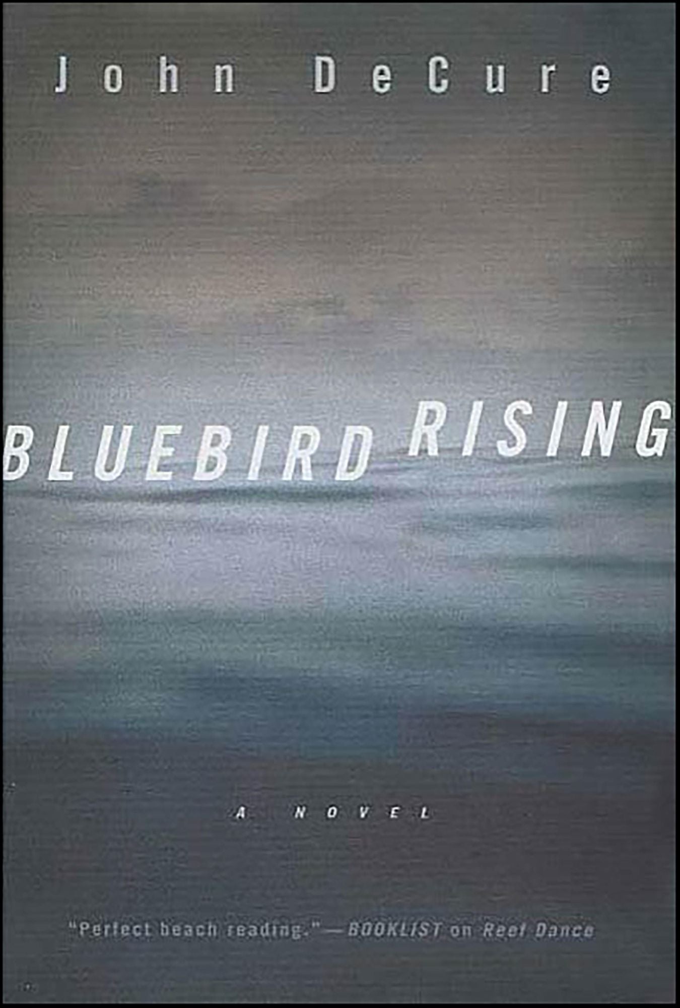 Bluebird Rising: A Mystery