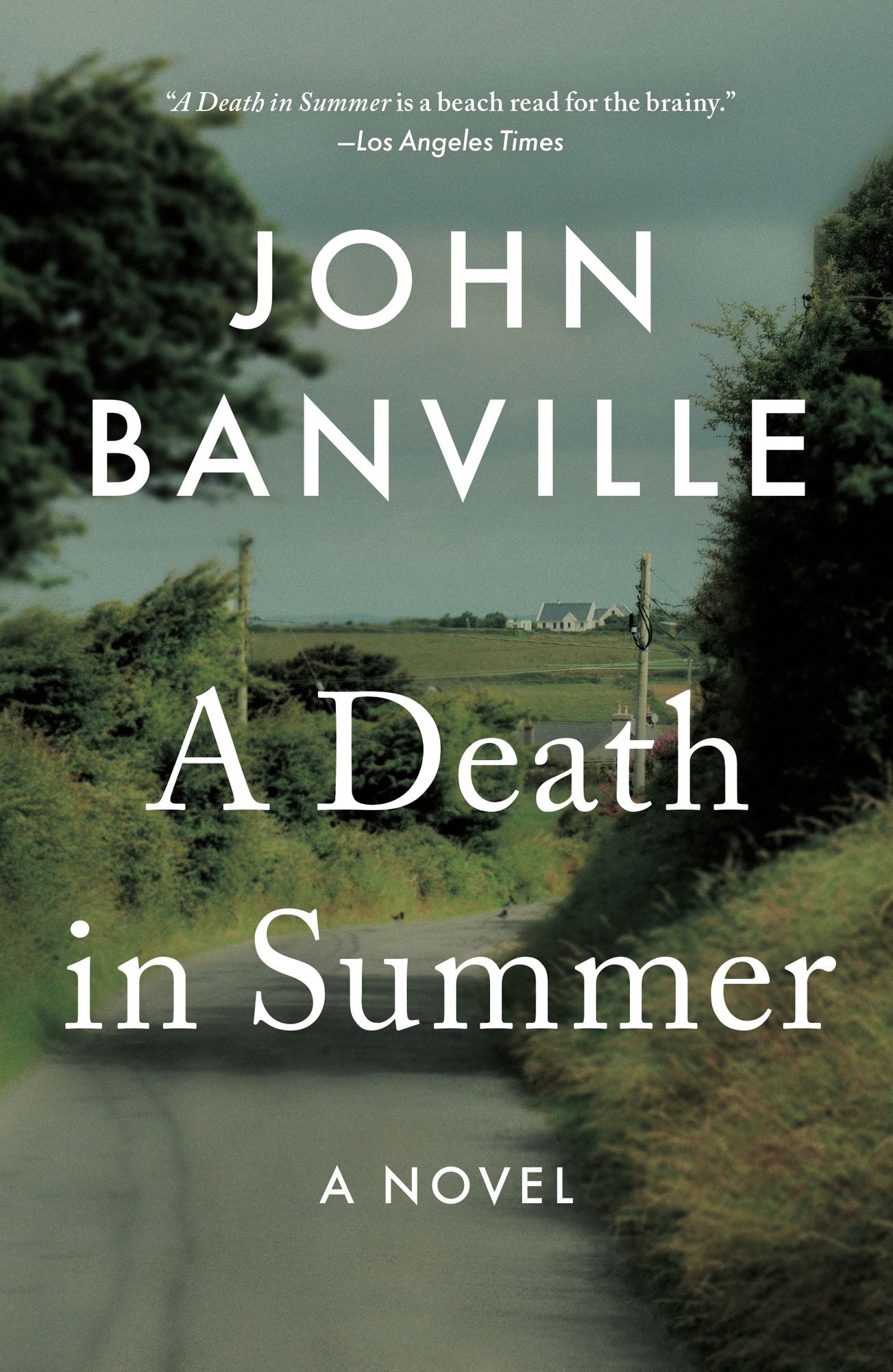 A Death in Summer (Quirke Series #4)