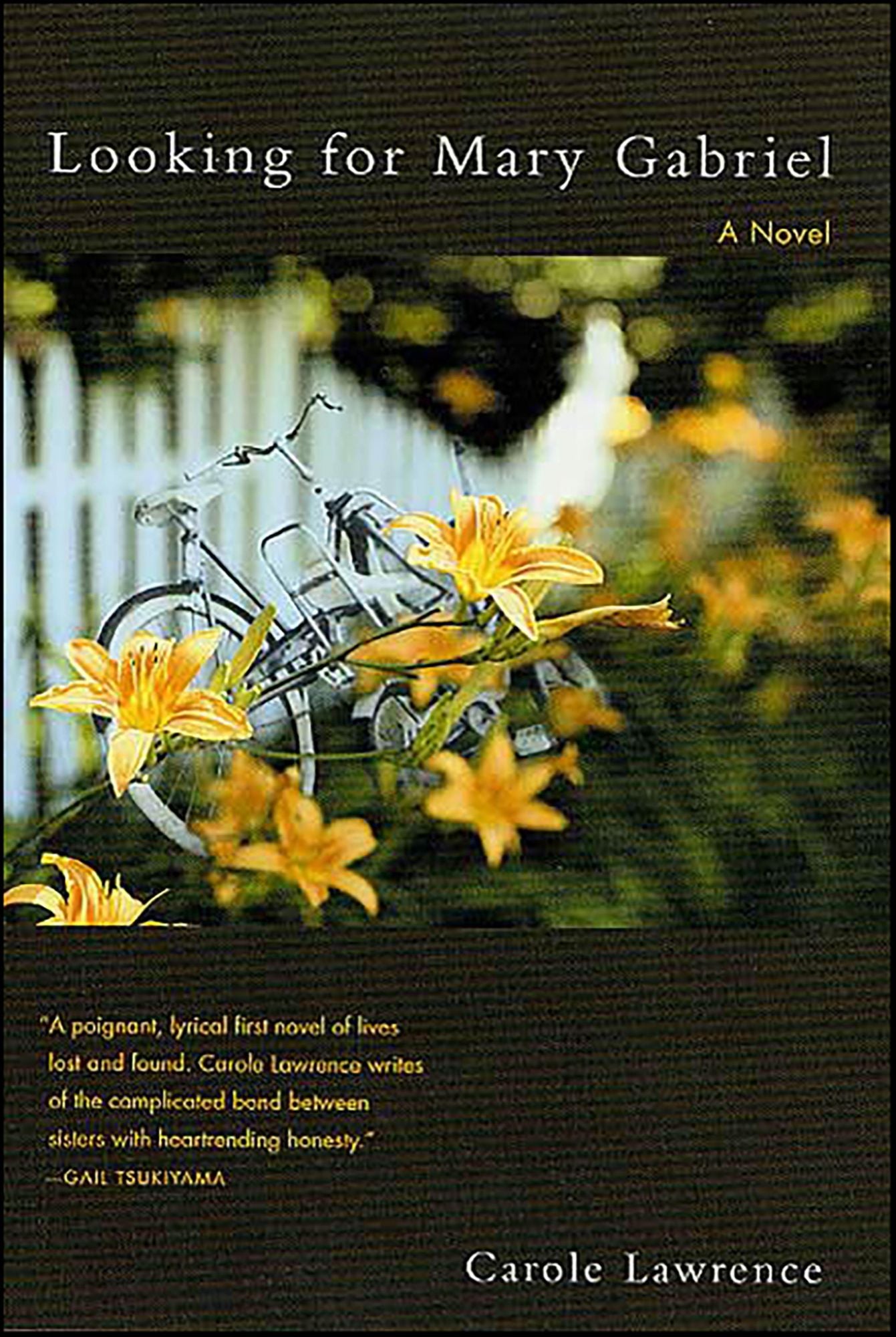 Looking for Mary Gabriel: A Novel