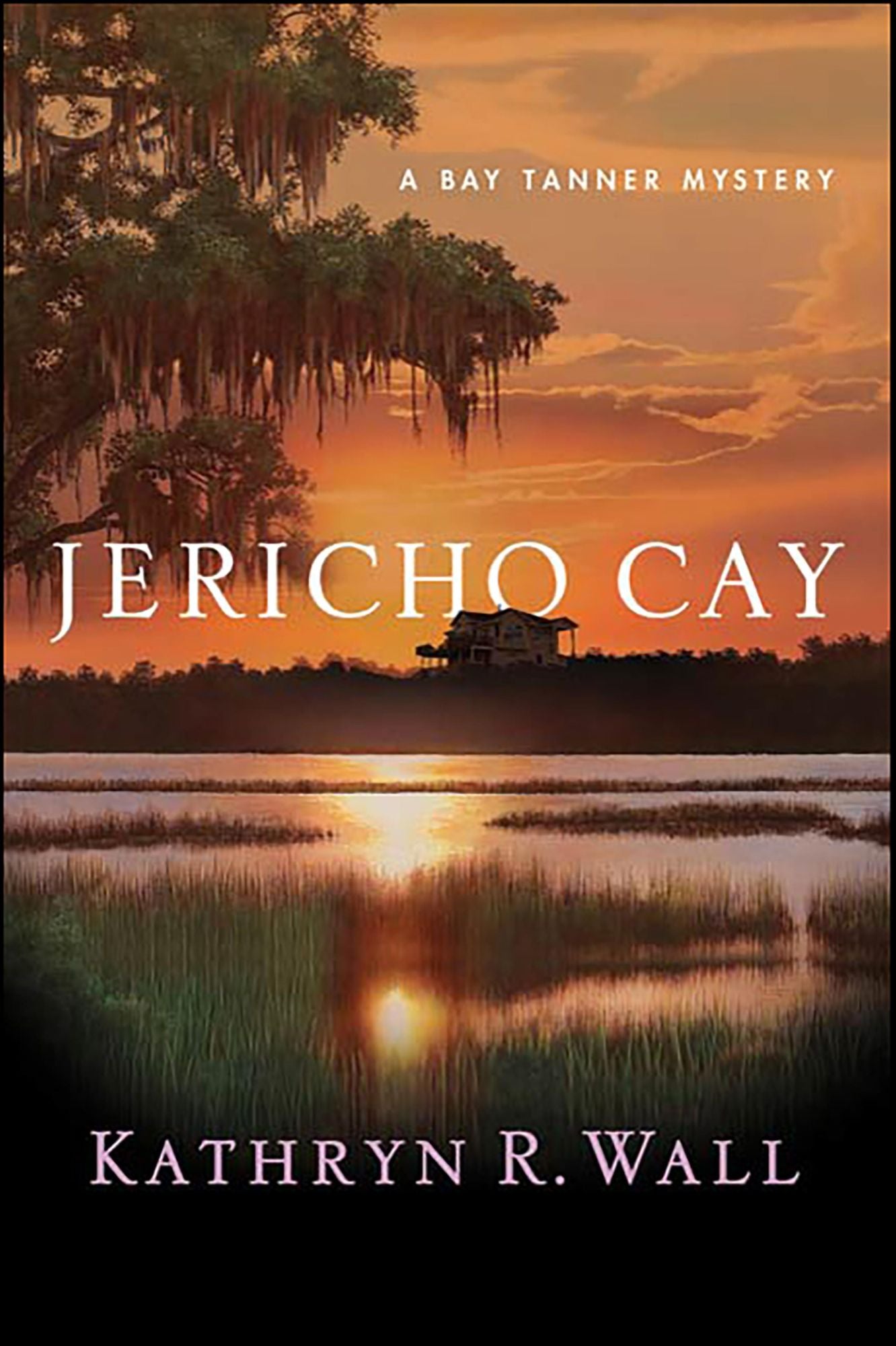 Jericho Cay (Bay Tanner Series #11)