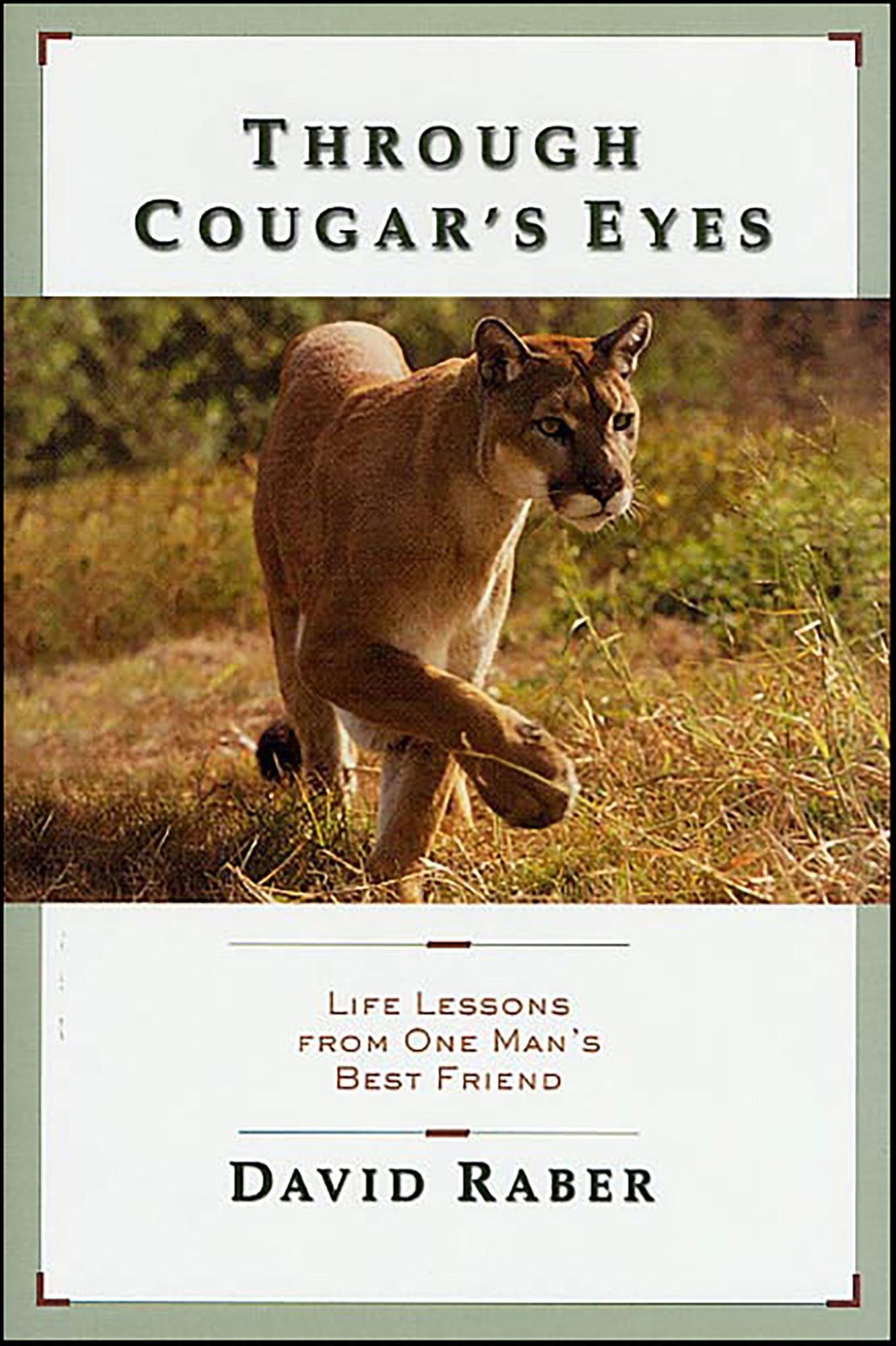 Through Cougar's Eyes: Life Lessons From One Man's Best Friend
