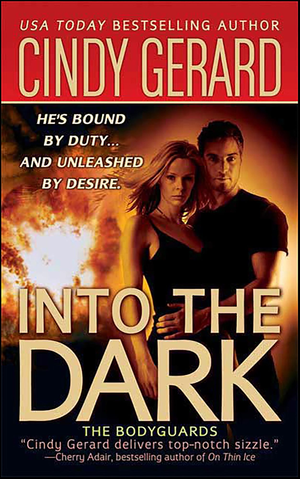 Into the Dark (Bodyguards Series #6)