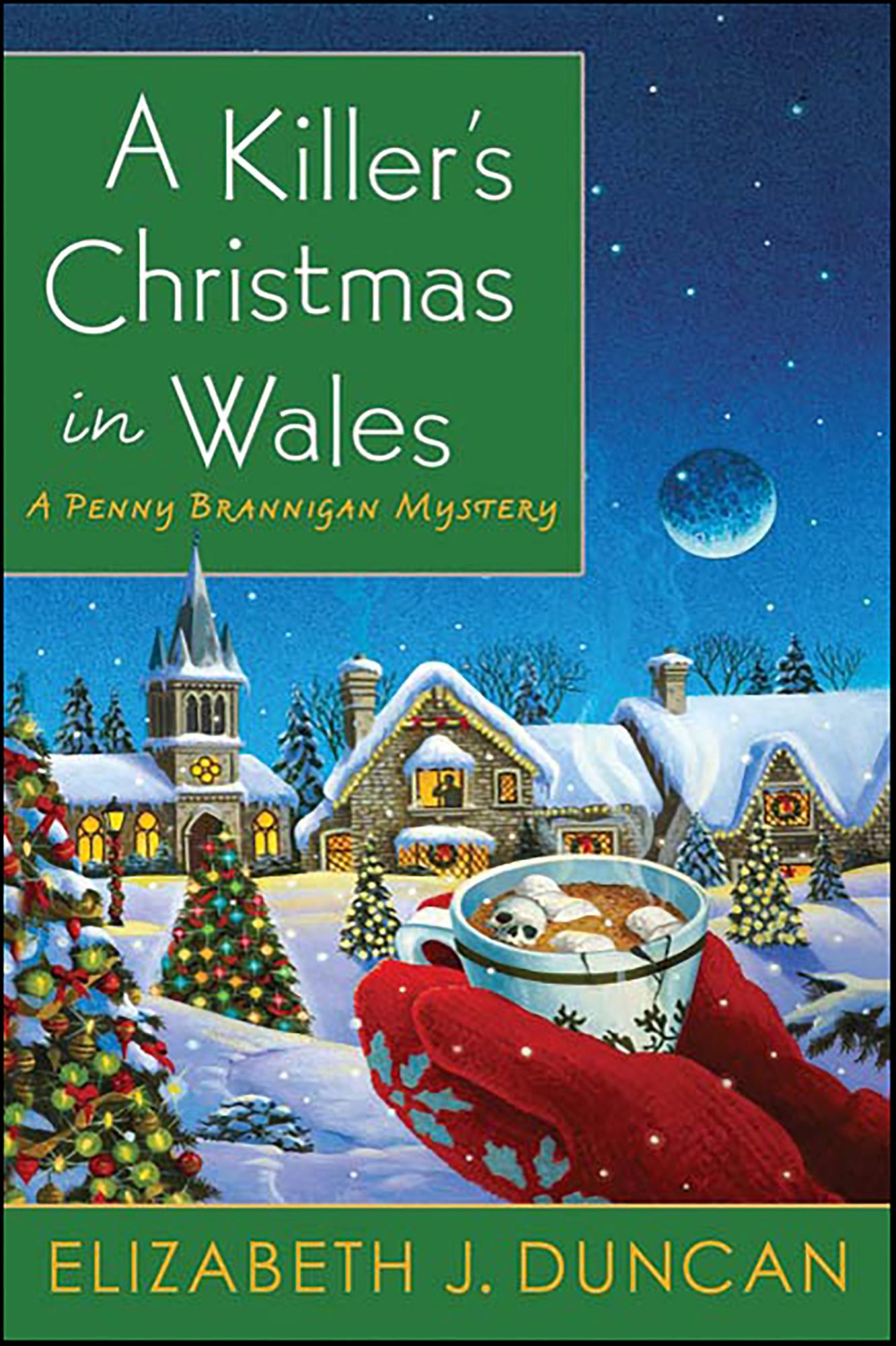 A Killer's Christmas in Wales: A Penny Brannigan Mystery