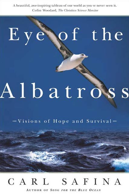 Eye of the Albatross: Visions of Hope and Survival