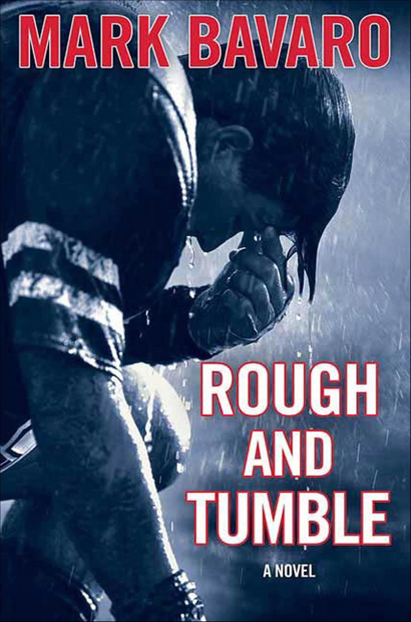 Rough & Tumble: A Novel
