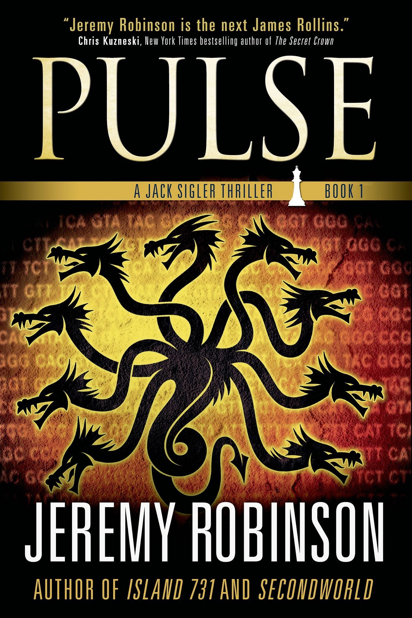 Pulse: A Chess Team Adventure