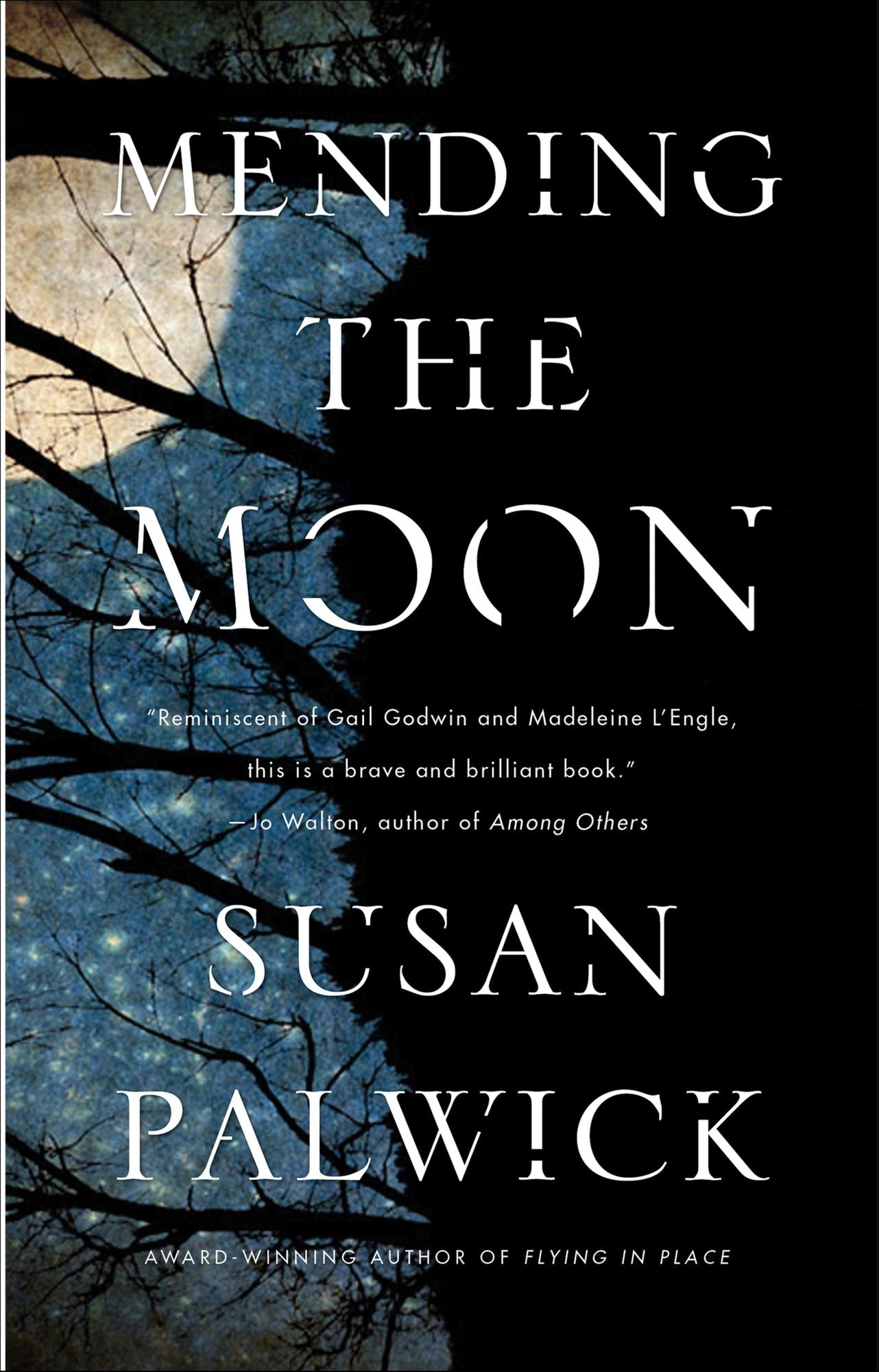 Mending the Moon