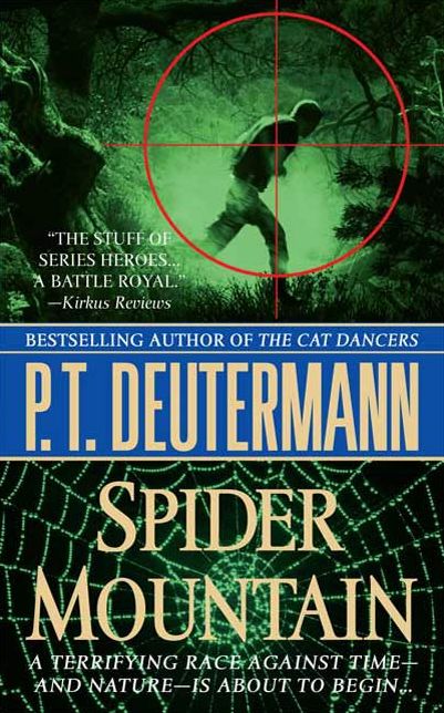 Spider Mountain: A Novel