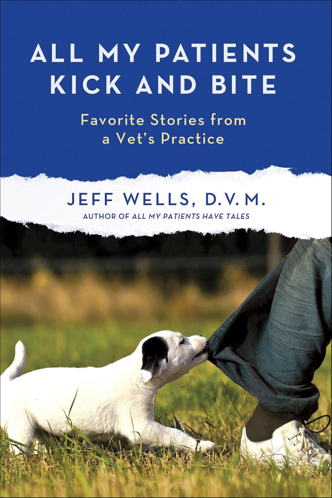 All My Patients Kick and Bite: Favorite Stories from a Vet's Practice