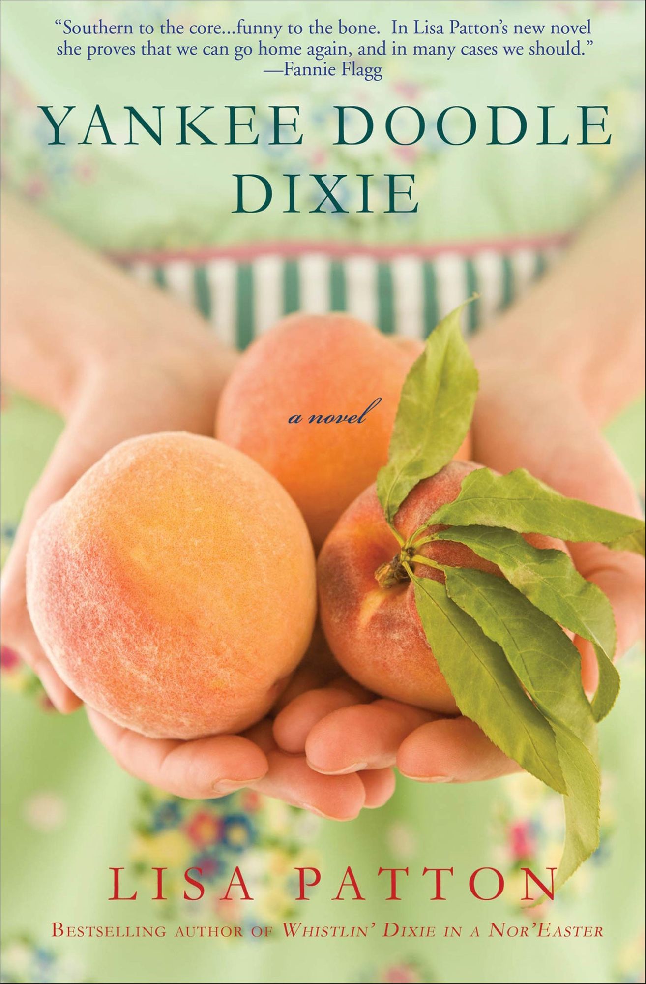 Yankee Doodle Dixie: A Novel
